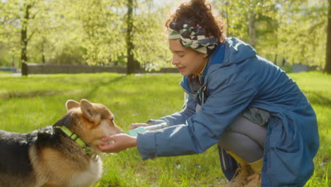 a woman caring for her dog in a sunny park