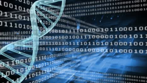 spinning dna against binary codes