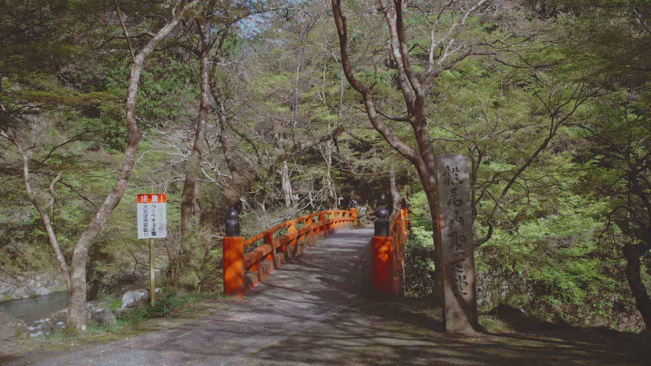 Picturesque red bridge nestled in Takaosan Park, Japan, surrounded by lush green trees. Slow Dolly Forward
