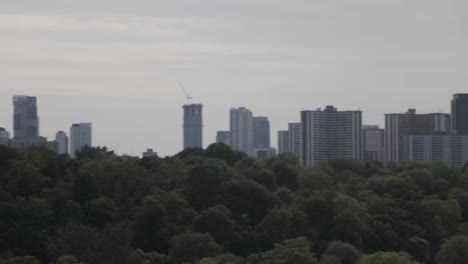 skyline of a busy metropolis, forest trees are seen in the foreground