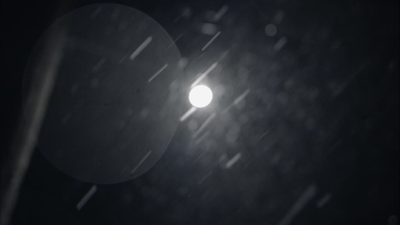 밤에는 겨울의 눈이 내리며 거리 조명에서 도시 거리에서 눈이 내린다.