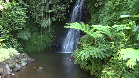 cascada fautaua en tahití, polinesia francesa