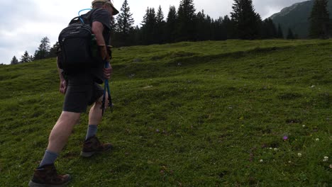 hombre haciendo senderismo caminando por la montaña de la colina de hierba en los alpes austriacos
