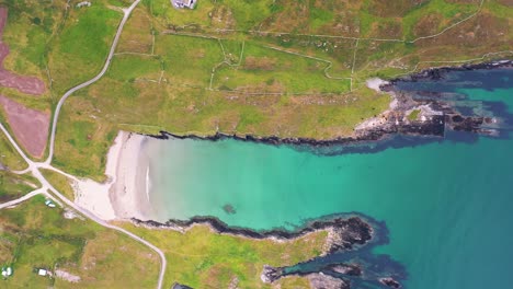 Luftaufnahme-In-4k-Von-Kuhsträngen-Auf-Sherkin-Island,-South-West-Cork