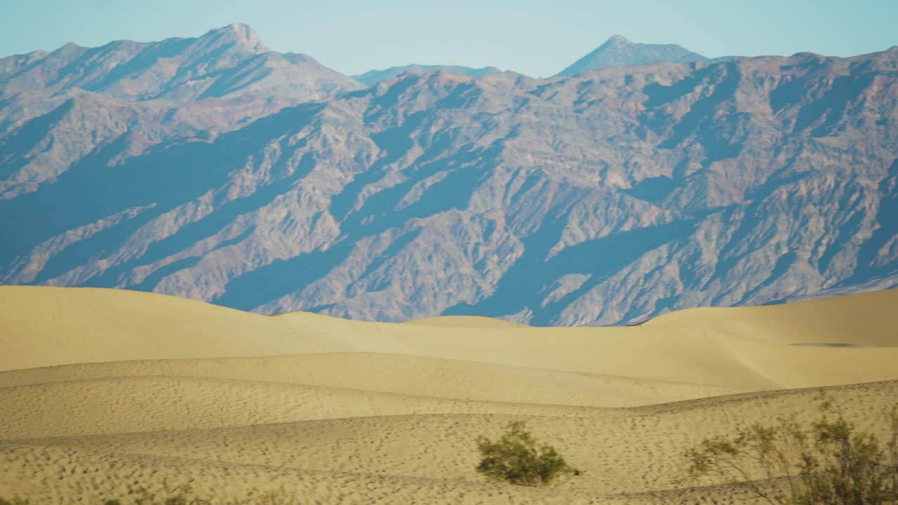 먼 배경에 산이 있는 메스키트 평평한 모래 언덕