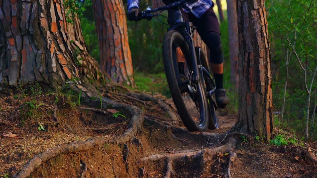 hombre montando en bicicleta en el bosque 4k