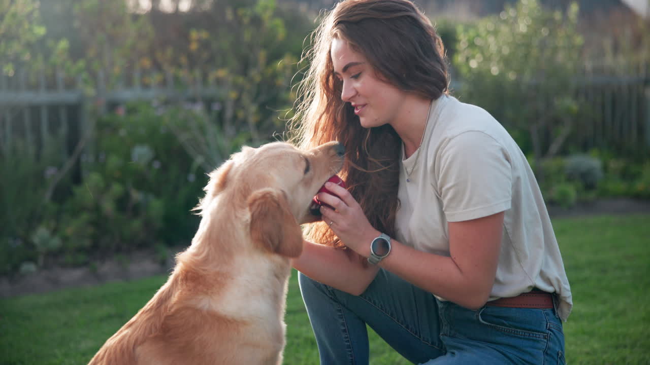Woman playing with her Golden Retriever in the garden