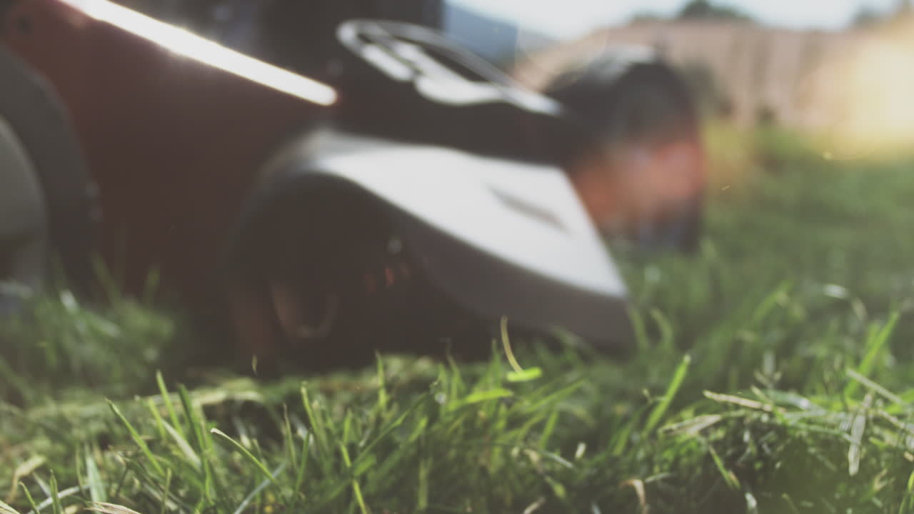 cortadora de césped en un jardín