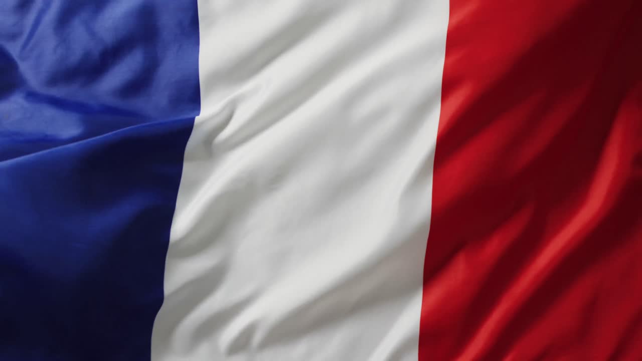 프랑스 국가  ⁇ 발의 애니메이션