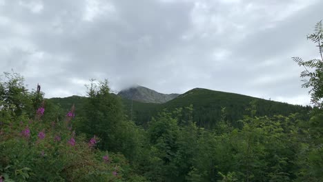 Ein-Schöner-Weiter-Blick-Auf-Den-Krivan-gipfel-In-Der-Slowakei-Mit-Blumen,-Herrlichen-Bäumen-Und-Bewölktem-Himmel---Weitwinkelaufnahme