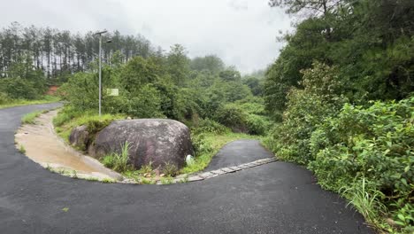the road has made a 360-degree turn into the mountains.