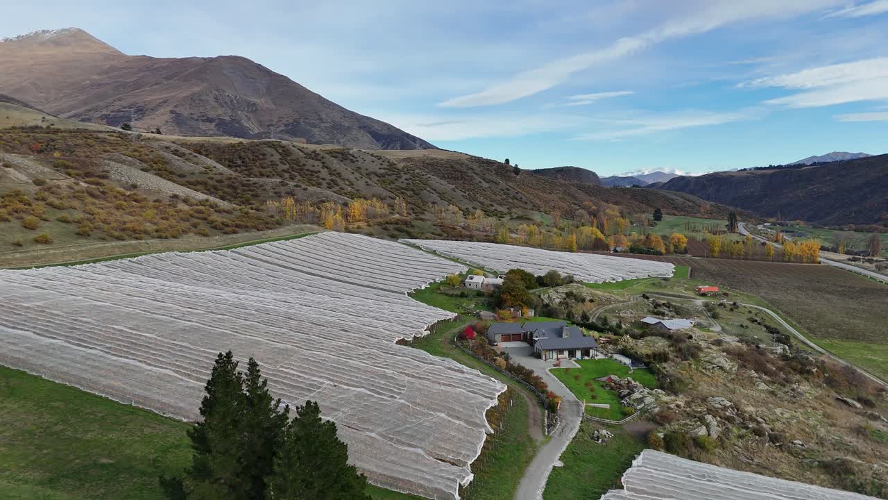Drone footage captures a scenic vineyard in Queenstown, New Zealand, with mountains and autumn foliage under clear skies
