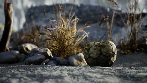 an old torn soccer ball thrown lies on sand of sea beach