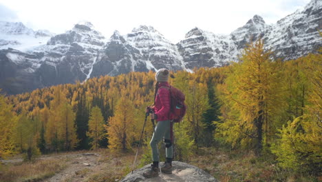 happy female hiker with trekking poles in beautiful landscape of banff national park, alberta, canada, green yellow larch trees in sentinel pass at fall peak, full frame