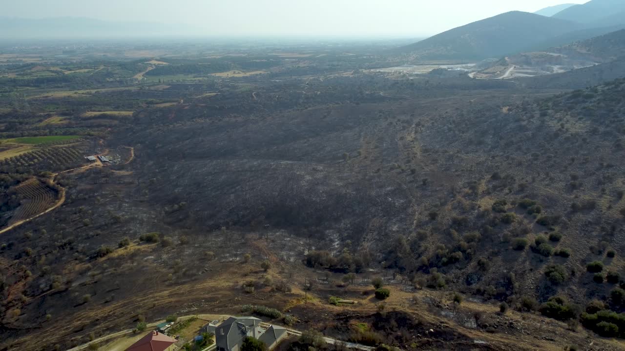 foto aérea de una vasta zona forestal destruida por incendios en el norte de grecia, agosto de 2023