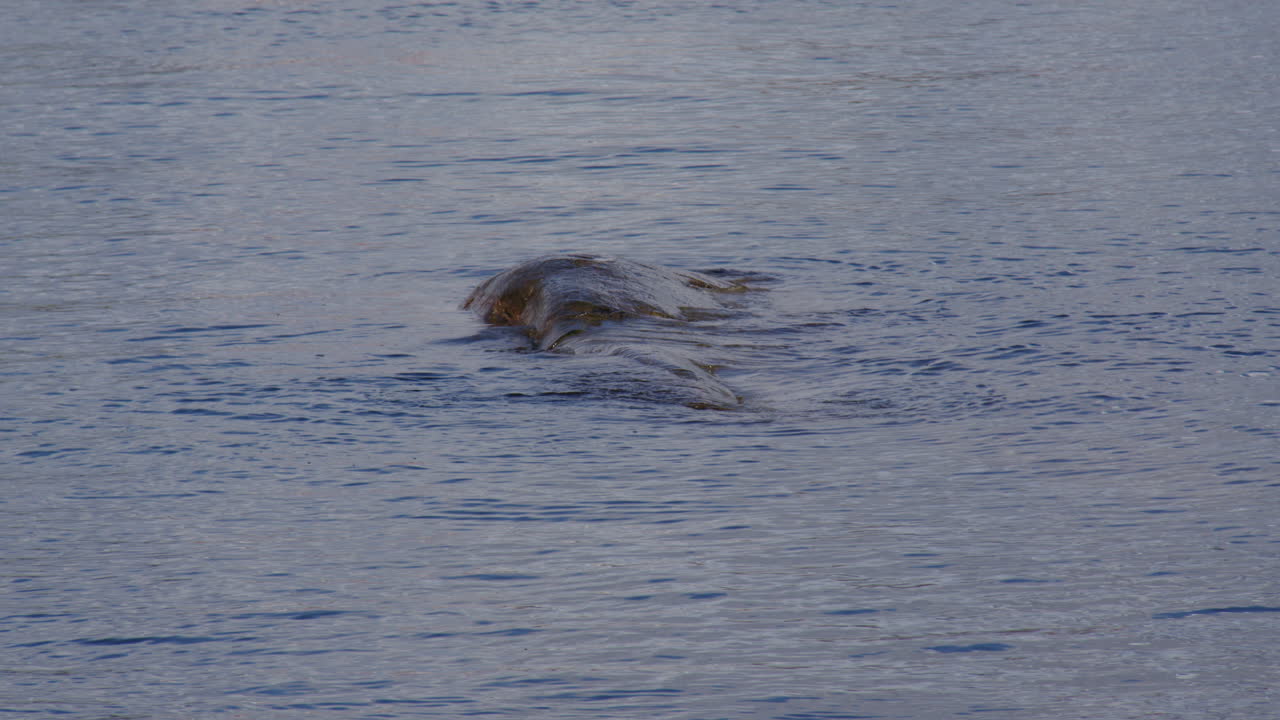 Waves gently lapping over rocks at Kristiansand harbour