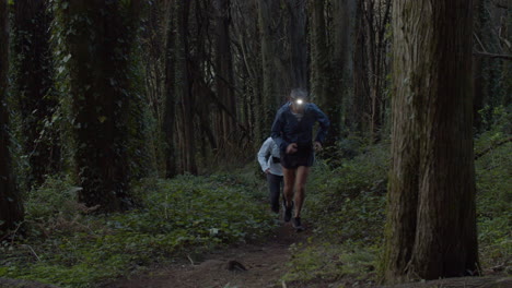 Runners-with-head-torch-running-on-trail-in-forest-at-dusk