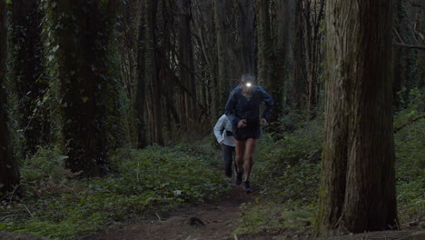 corredores con antorcha en la cabeza corriendo por el sendero en el bosque al anochecer