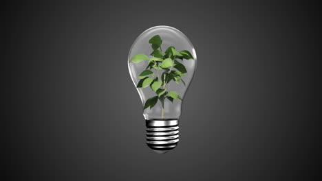 manos que presentan una bombilla con una planta