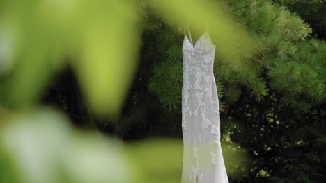 Beautiful-reveal-of-a-elegant-designer-wedding-dress-hanging-from-a-pine-tree-in-the-yard-of-the-Strathmere-Wedding-and-Event-center-in-Ottawa,-Canada