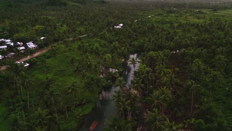 Aerial-Top-Of-The-Road-Coconut-Palm-Forest-Viewpoint-On-Siargao-Island-in-the-Philippines