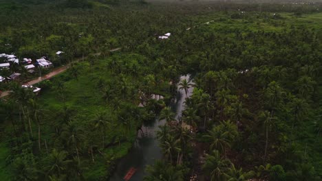 aerial top of the road coconut palm forest viewpoint on siargao island in the philippines