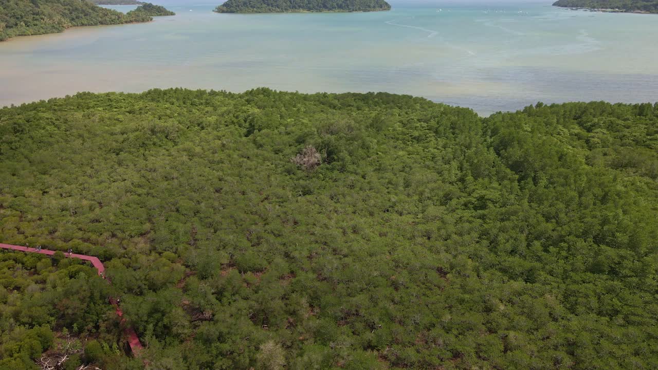 태국 국립공원의 산책로가 있는 맹그로브 숲의 공중 드론 샷