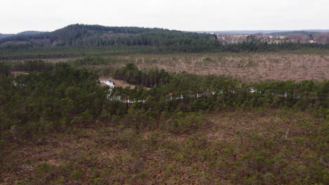 Arroyo-Serpenteante-En-Marismas-Rurales,-Paisaje-De-Bosque-Boreal,-Vista-Aérea