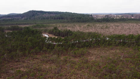 arroyo serpenteante en las marismas rurales, paisaje de bosque boreal, vista aérea