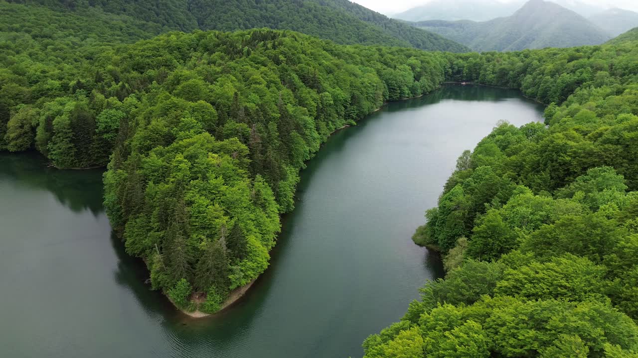 Biogradska Gora National Park glacial lake and forest habitat, drone