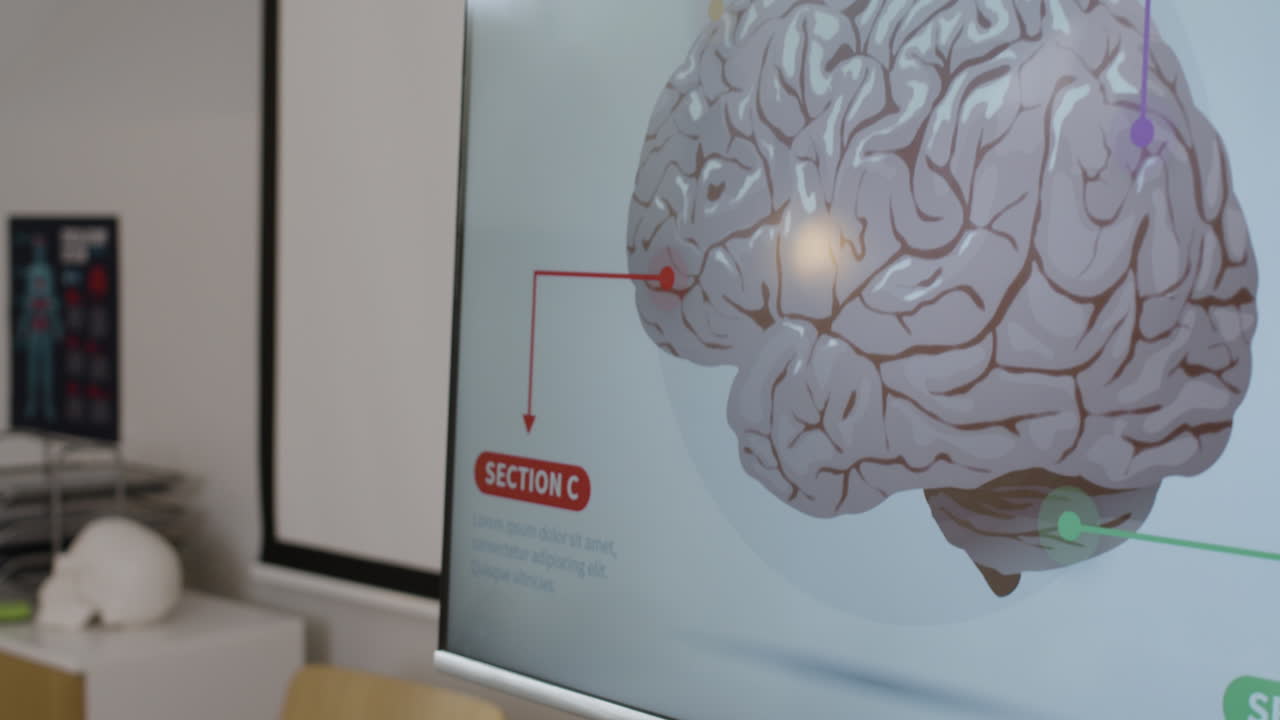 Office setting with medical illustrations and anatomical model