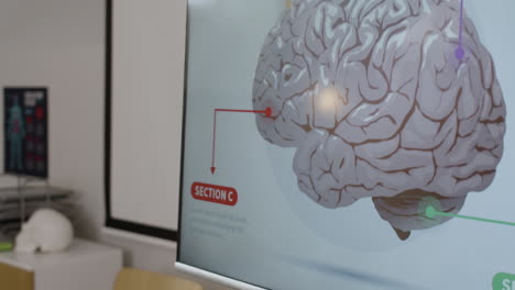 office setting with medical illustrations and anatomical model