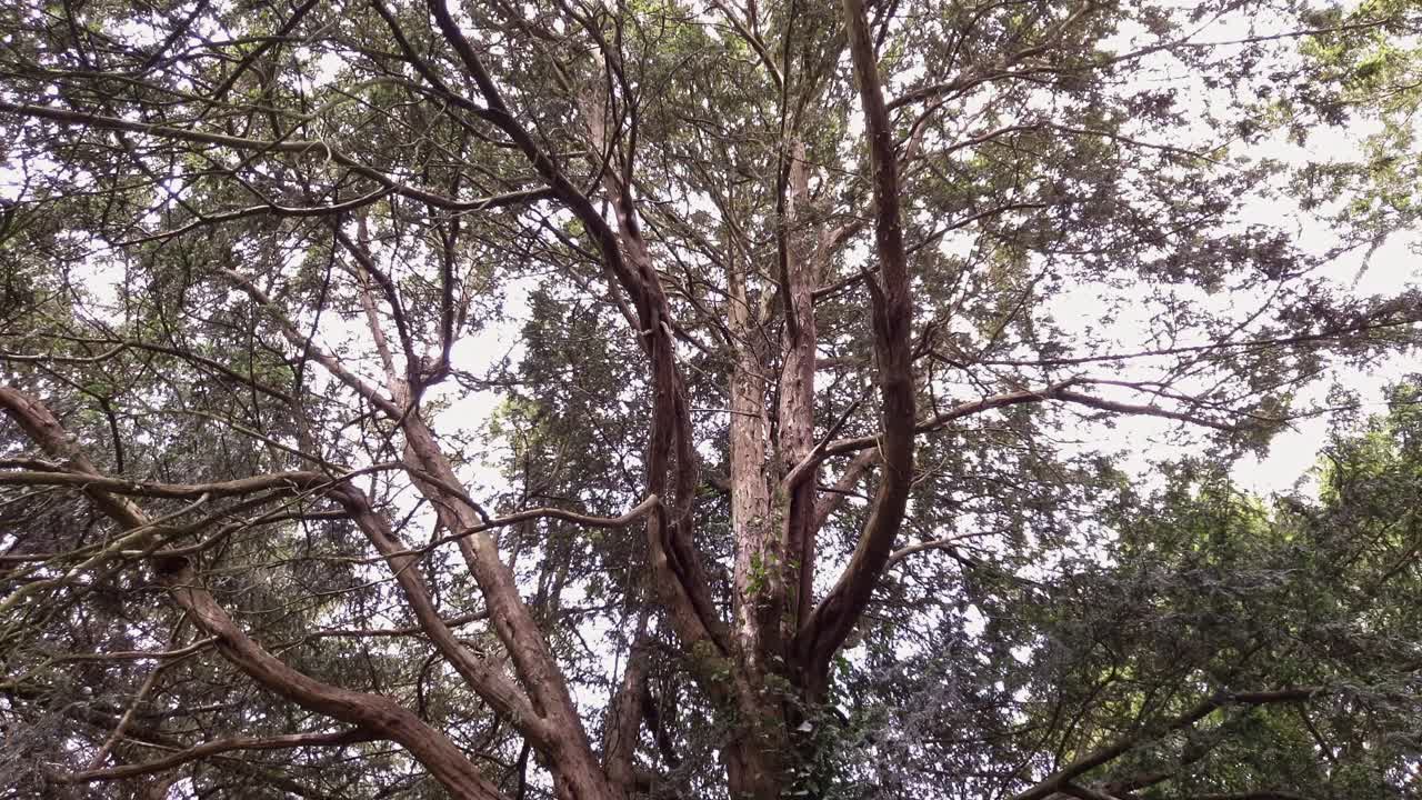 pasó algún tiempo en una casa señorial y los terrenos