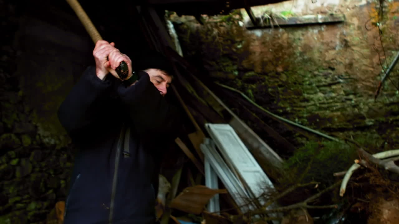 나무 를 잘라내는 고위 인사