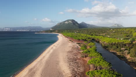 idyllic sandy beach is adjacent to a meandering river. this serene landscape combines the tranquility of the beach with the peaceful flow of the river, perfect spot for relaxation and exploration.