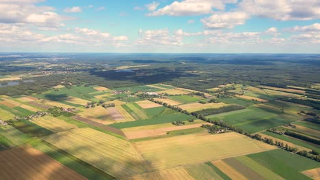 agricultural field aerial shot