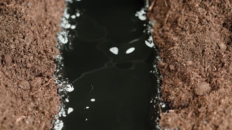 water pooled in a garden row