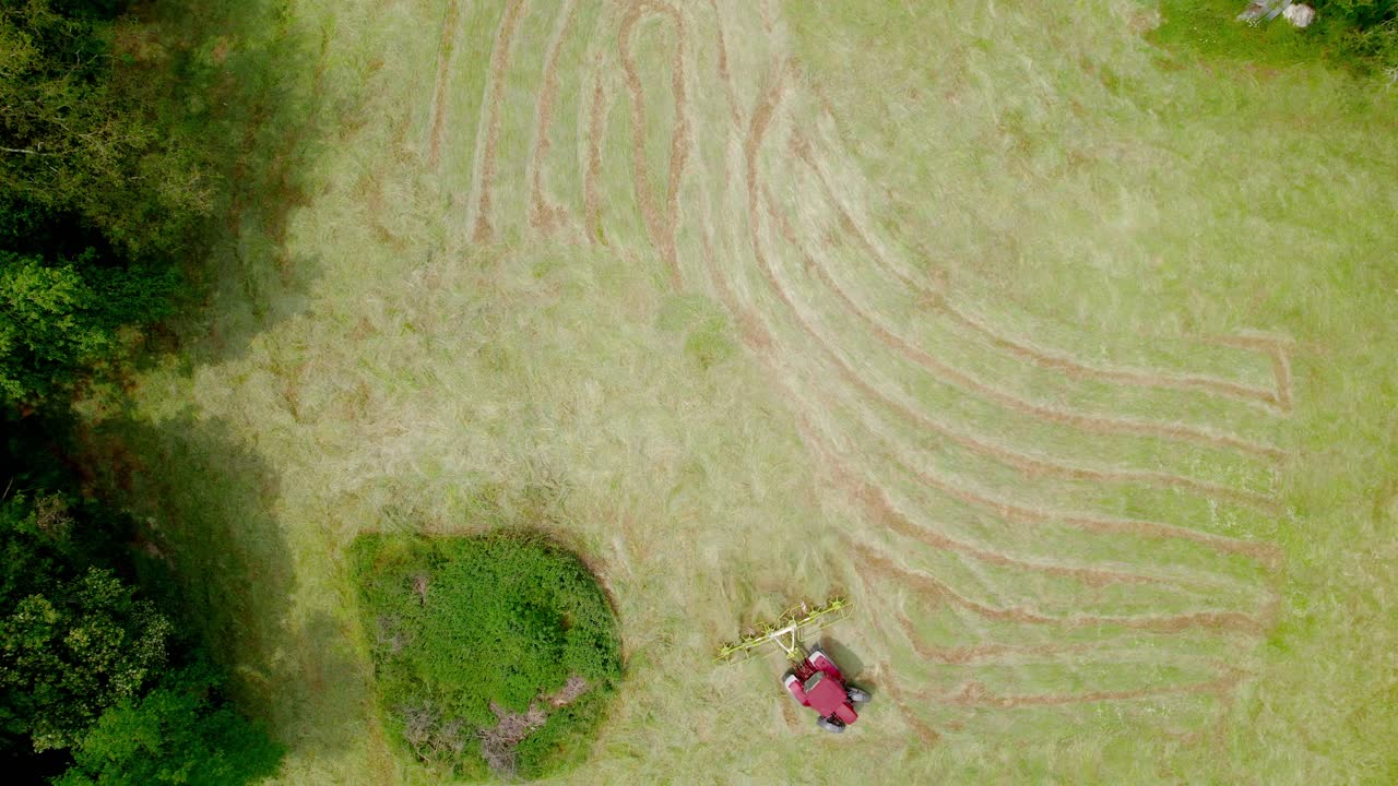 초록색  ⁇ 을 자르는 잔디 ⁇ 을 가로질러 움직이는 빨간색 잔디 ⁇ 의 높은 각도 전망