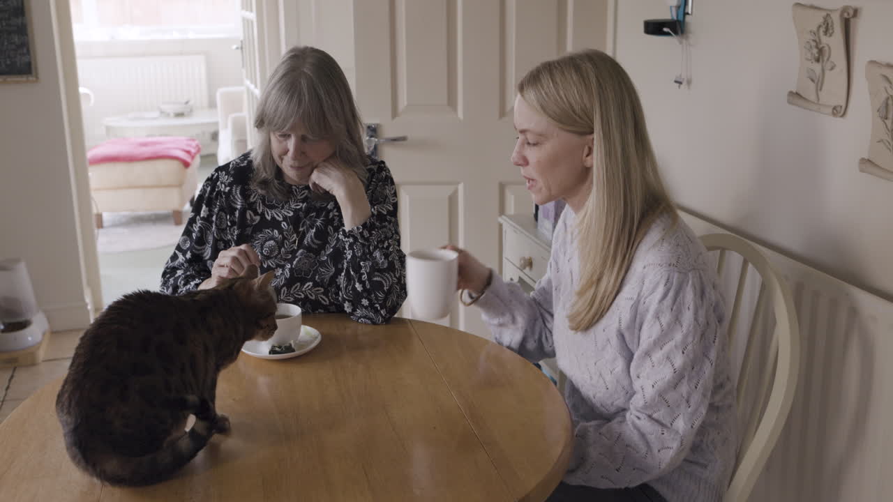 Two women and a cat having tea