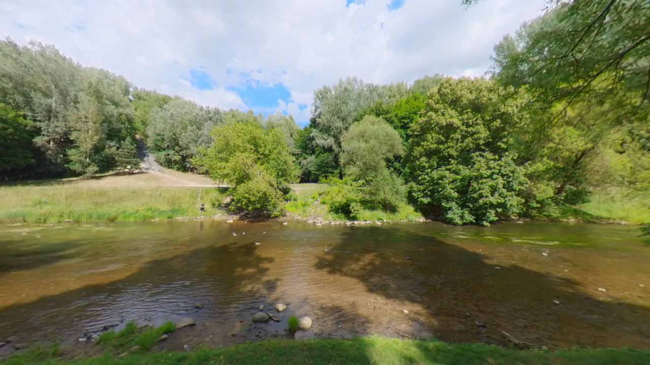 리투아니아 빌니우스 의 그린 세레키스카이 공원 에 있는 새 들