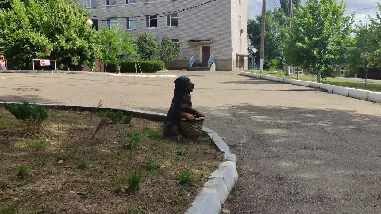 Artificial figurine of a dog with a basket in the yard in summer in windy weather in shadow