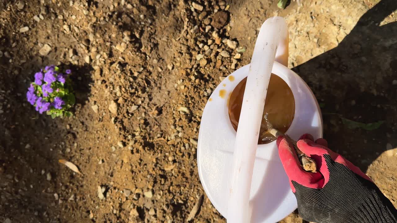 Cura del giardinaggio, sistema di irrigazione tradizionale iraniano con annaffiatoio e miscela di fertilizzante liquido. Crescita di bellissimi fiori blu sotto la luce solare autunnale. Agricoltura biologica per coltivare frutta fresca e nutriente in un paesaggio di frutteto.