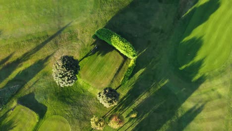 aerial drone shot of trees and shadows from morning sun over houghton le spring golf course