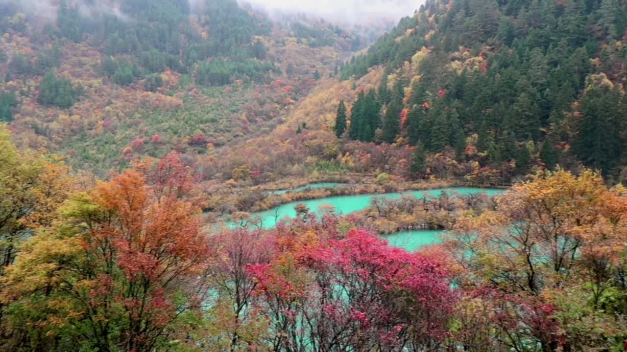 china, paisaje, sichuan jiuzhaigou, área panorámica