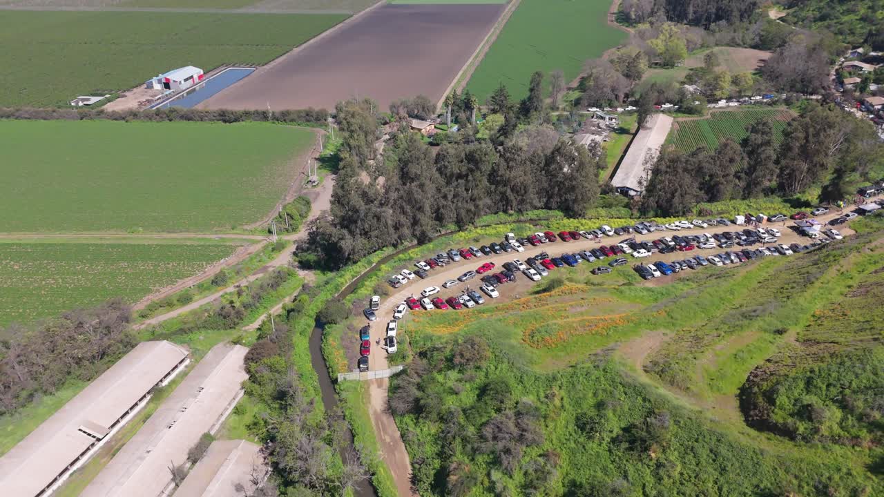 Rural flowering season in spring, metropolitan region, Chile
