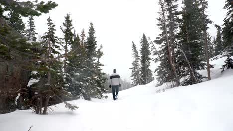 Wandern-In-Den-Rocky-Mountains-Während-Eines-Schneesturms