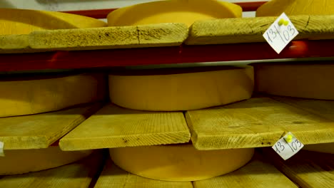 vista de las ruedas de queso de parmesán madurando en los estantes de la bodega de la fábrica de queso