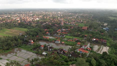 drone view of flooded rice fields and urban buildings in ubud during rainy season, bali, indonesia