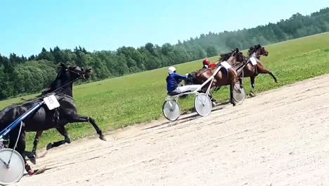 Harness-Racing-Derby