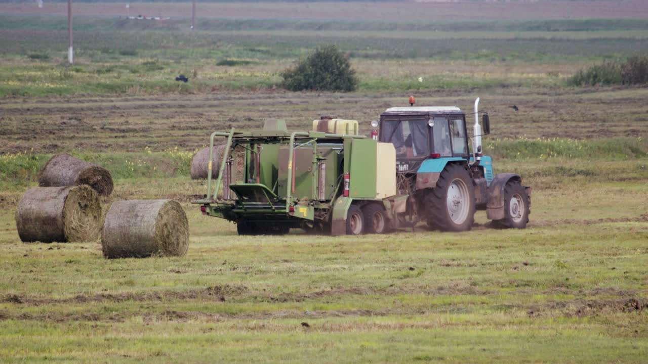 을 만드는 트레일러가 있는 트랙터는 에서 일하고 이나 사료의 롤을 수집합니다.